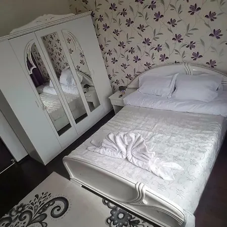 Apartament Matei *